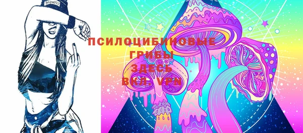 PSILOCYBIN Вязники