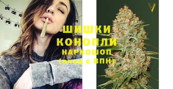 PSILOCYBIN Вязники