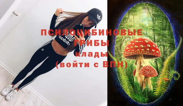 PSILOCYBIN Вязники