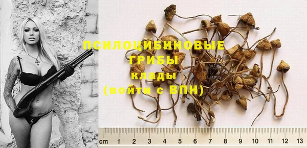 PSILOCYBIN Вязники