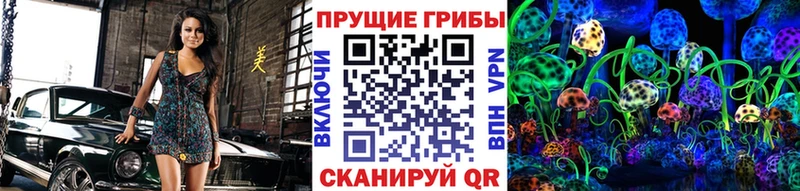 Галлюциногенные грибы Magic Shrooms  мега вход  Дальнереченск 