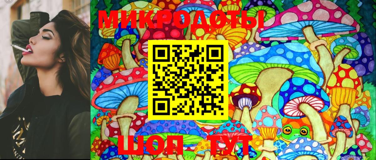 Дальнереченск  Галлюциногенные грибы GOLDEN TEACHER  купить наркотики цена  Вход с VPN 